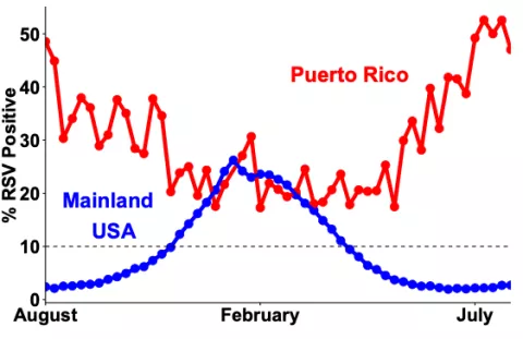 line plot demonstrating the seasonality of RSV in Puerto Rico vs the Mainland USA. Puerto Rico's line is tall and jagged spanning from 50% RSV positive in August and July to 20% positive in Februrary. The Mainland US line looks like a normal distribution peaking at 25% in February and falling down to 0 in August and July. A 10% threshold line indicates when RSV is considered in it's season.